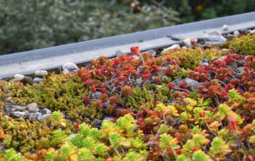 the cost of Bellsmyre green roof installation