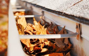 Bellsmyre gutter cleaning companies
