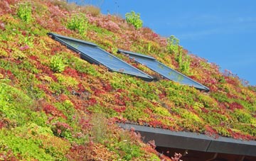Bellsmyre living roof systems