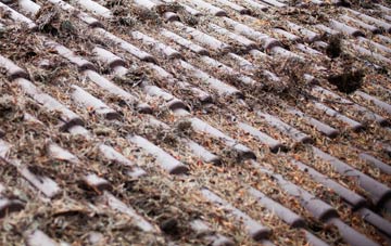 Bellsmyre roof cleaning companies